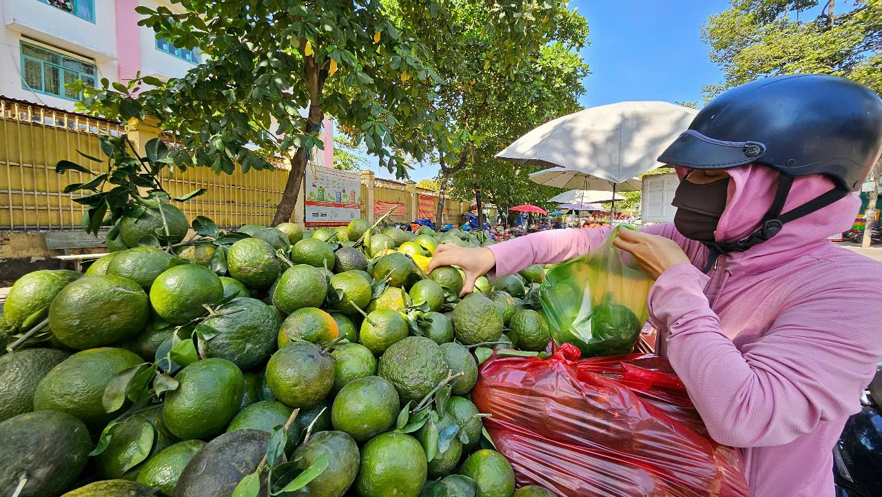 Cam sành được "giải cứu" tại TP HCM - Ảnh 1