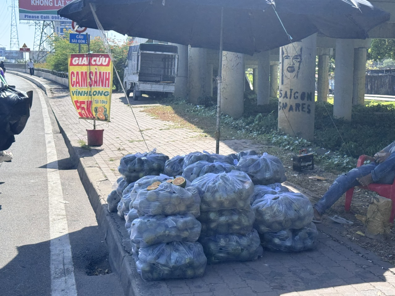 Cam sành được "giải cứu" tại TP HCM - Ảnh 5