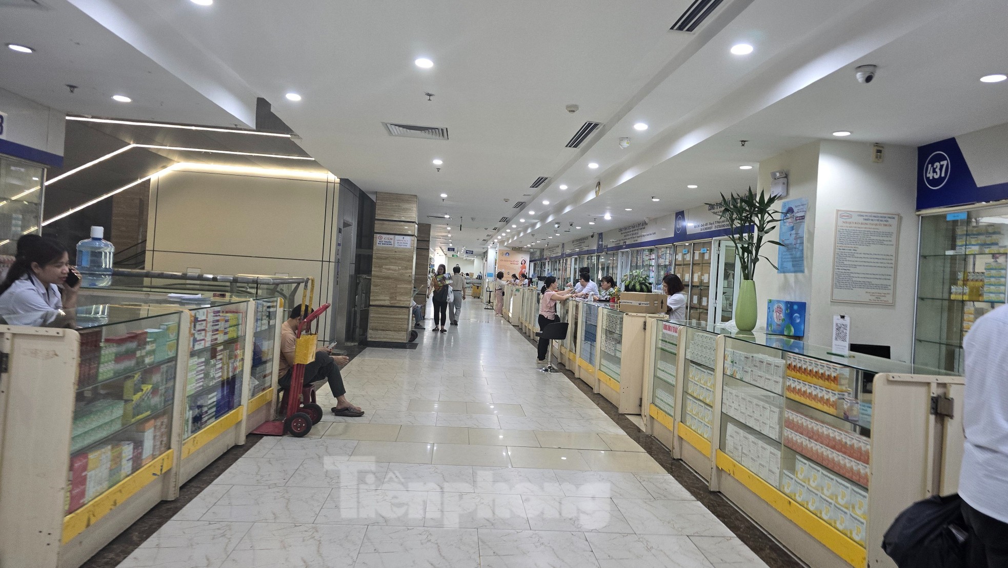 Hà Nội: Chợ thuốc lớn nhất miền Bắc hoạt động cầm chừng sau vụ án thuốc giả vừa bị triệt phá - Ảnh 9