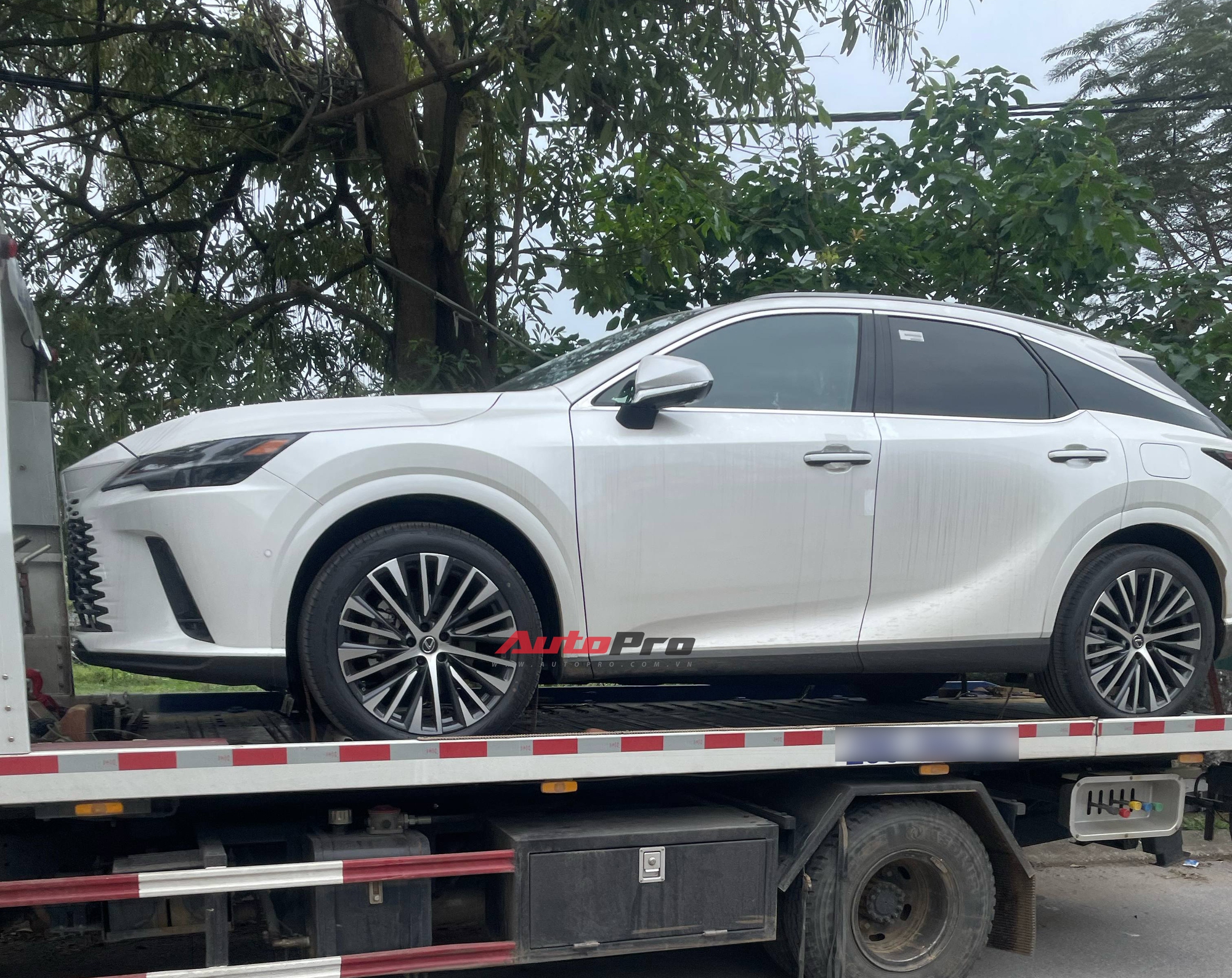 Lexus RX 350h 2025 đã về Việt Nam: Tinh ý mới thấy điểm khác bản xăng, dễ thêm công nghệ, máy tiết kiệm xăng cạnh tranh X5, Q7 - Ảnh 3