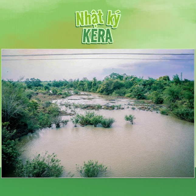 Thực hư vùng nguyên liệu kẹo Kera của Quang Linh Vlogs và Hằng Du Mục ở Đắk Lắk - Ảnh 2