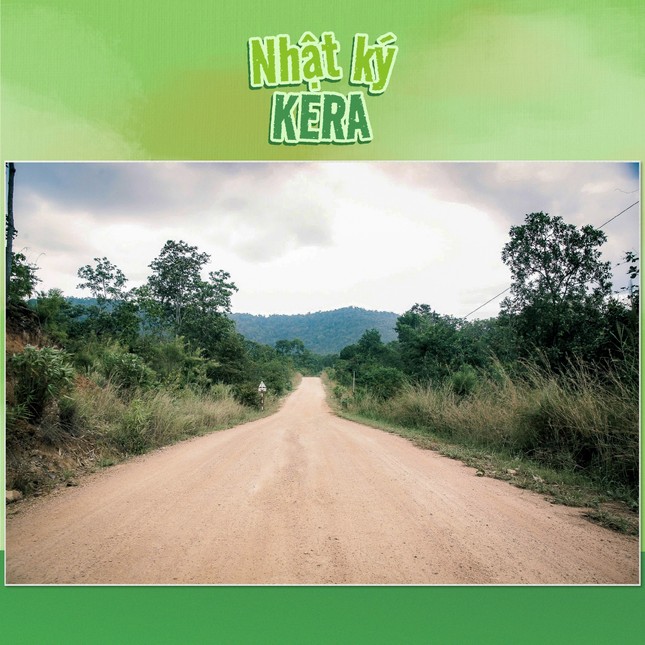 Thực hư vùng nguyên liệu kẹo Kera của Quang Linh Vlogs và Hằng Du Mục ở Đắk Lắk - Ảnh 4