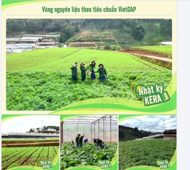 Thực hư vùng nguyên liệu kẹo Kera của Quang Linh Vlogs và Hằng Du Mục ở Đắk Lắk - Ảnh 5