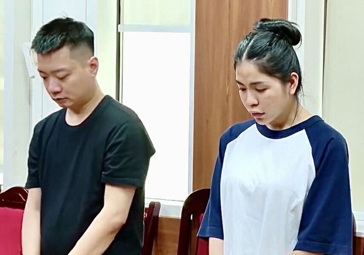 Quang Linh Vlogs và Hằng Du mục bị khởi tố tội danh gì? - Ảnh 1