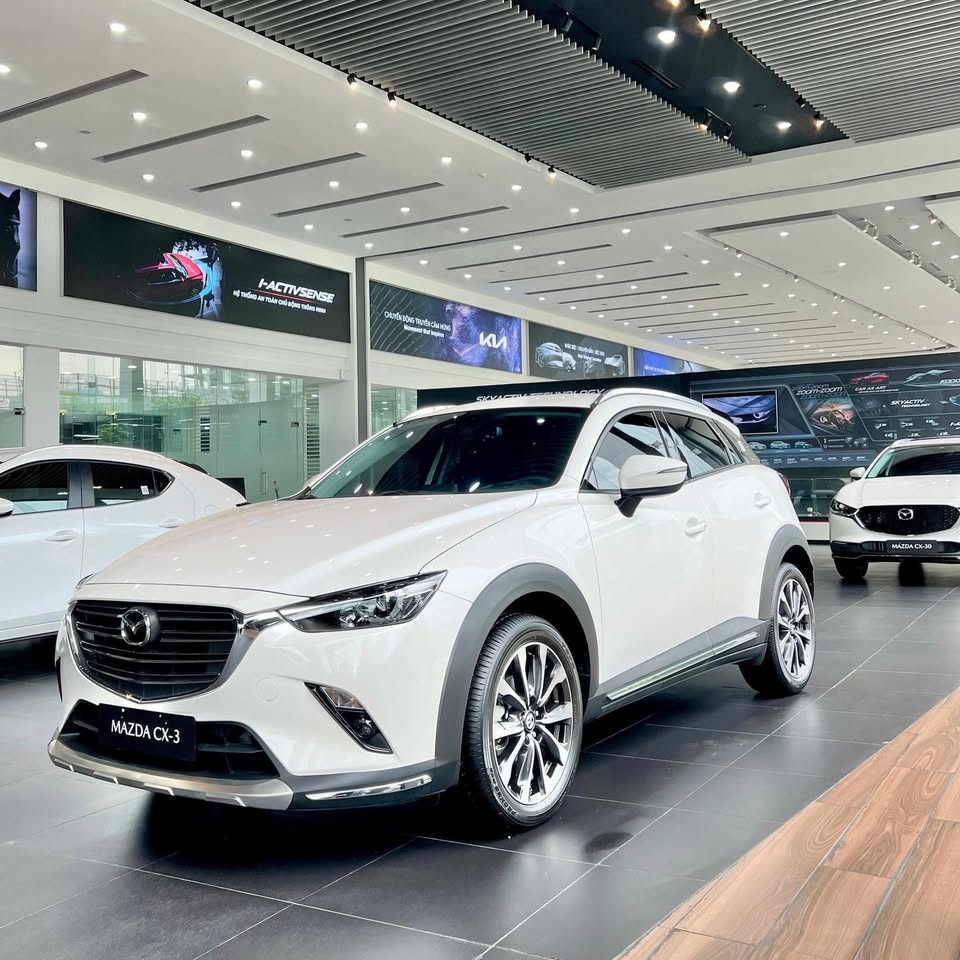 Xe Nhật ngược dòng tăng giá tại Việt Nam: Gần 10 mẫu, có mẫu tăng 600 triệu dù không bán nhiều - Ảnh 8