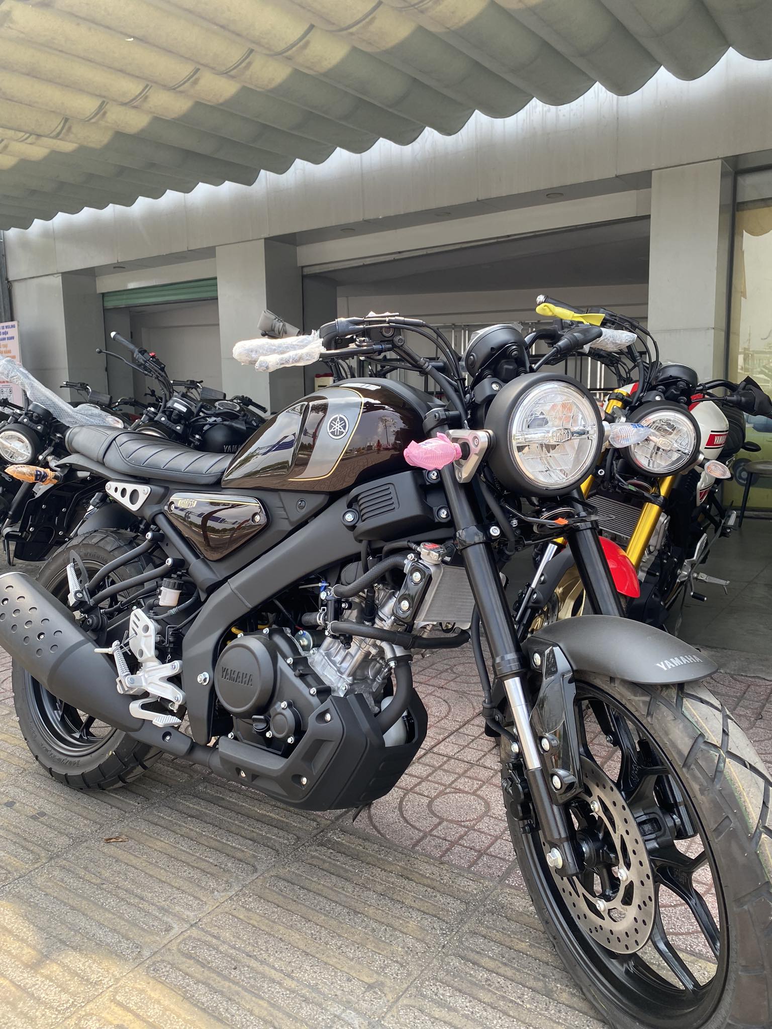 Xe Yamaha dáng đẹp đời mới có mặt ở đại lý: Mạnh 20 mã lực, ăn xăng 2L/100km, đấu mẫu Honda vừa về nước - Ảnh 6