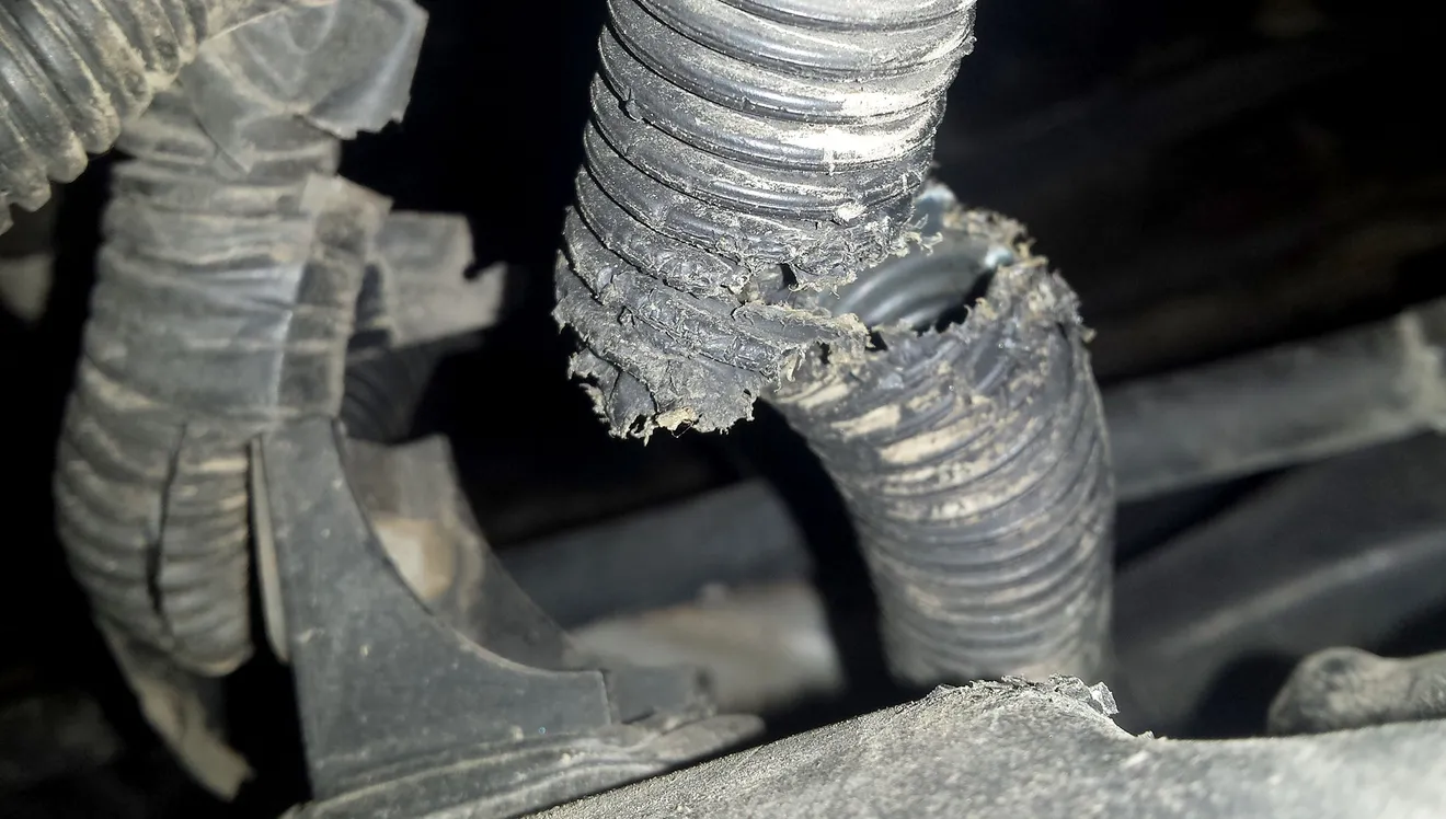 Thắc mắc từ vụ ca sĩ Duy Mạnh kiện Mercedes Việt Nam: "Răng chuột cắn đứt làm sao được dây điện xe ô tô?" - Ảnh 4