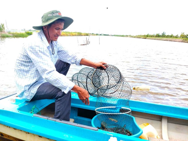 Mỹ công bố thuế 46%, Cà Mau khuyến cáo người nuôi tôm không hốt hoảng - Ảnh 1