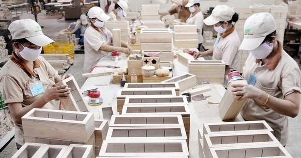 Lương công nhân gỗ Thái Lan, Malaysia, Indonesia đều trên 1.000 USD, riêng công nhân gỗ Việt Nam chỉ nhận từ 300 – 400 USD