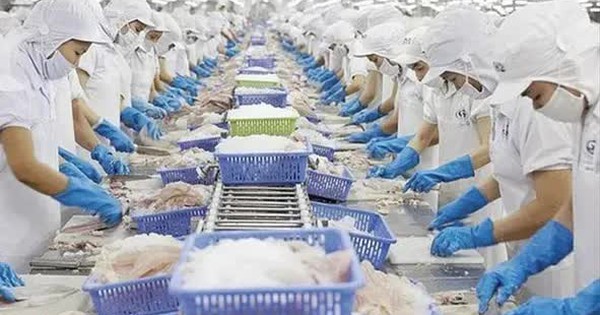 Xuất khẩu tôm tiếp tục tăng cao