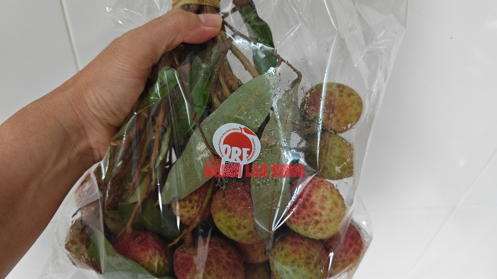 Vải Tây Nguyên đầu mùa giá cao đến khó tin - Ảnh 2