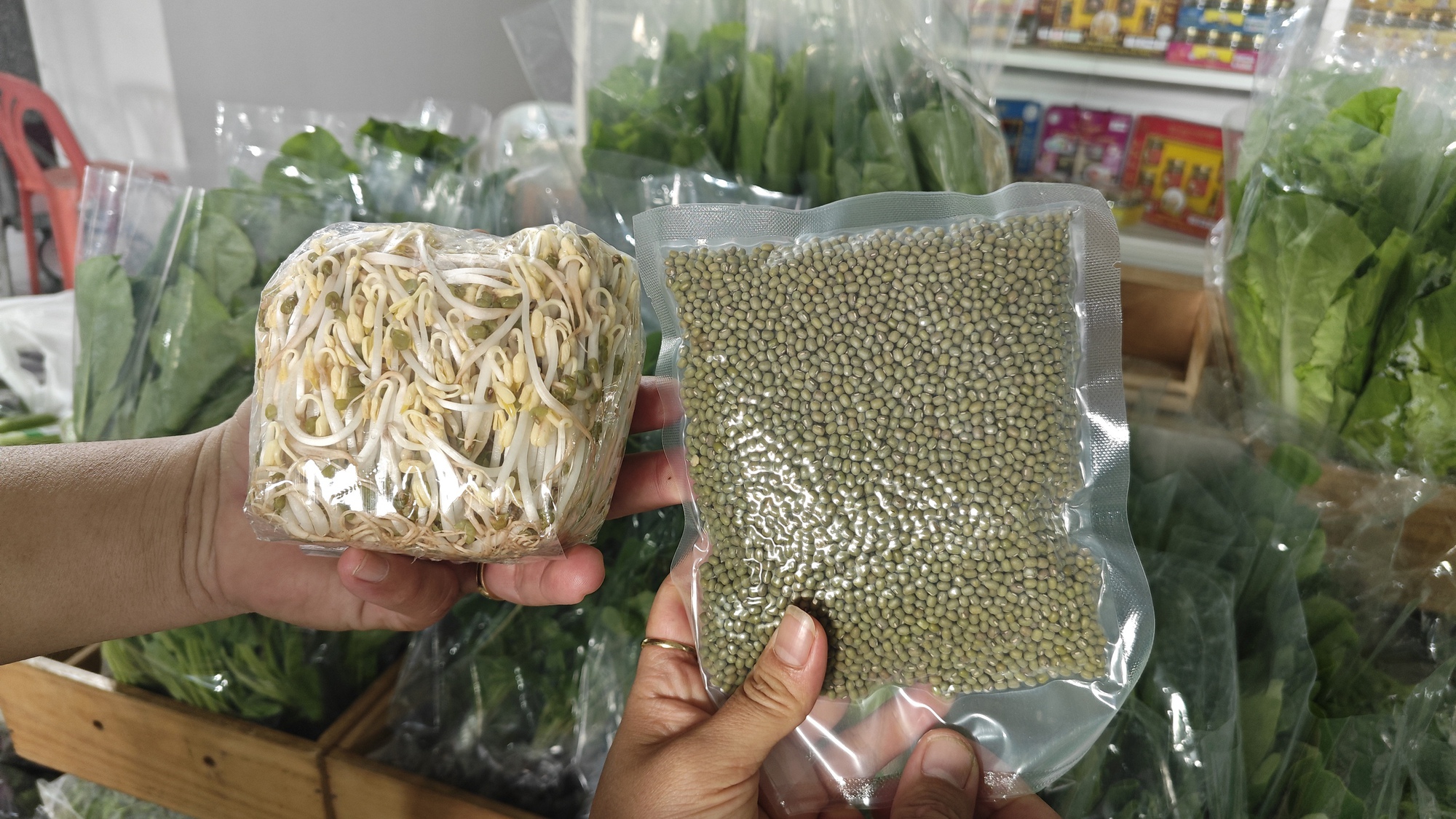 Lo giá đỗ ngâm hóa chất, người tiêu dùng "săn" giá ốm, rễ dài ở chợ xanh - Ảnh 1