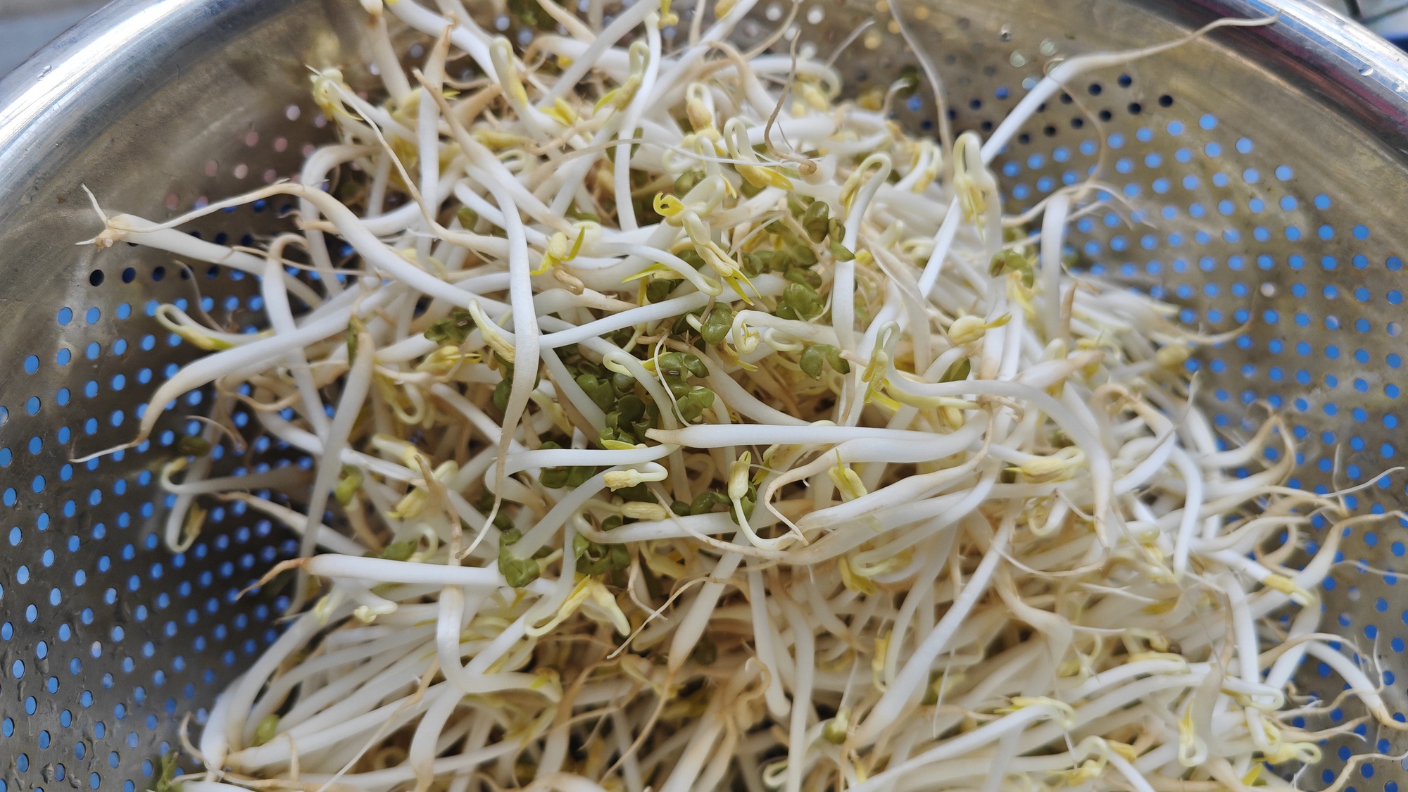 Lo giá đỗ ngâm hóa chất, người tiêu dùng "săn" giá ốm, rễ dài ở chợ xanh - Ảnh 2