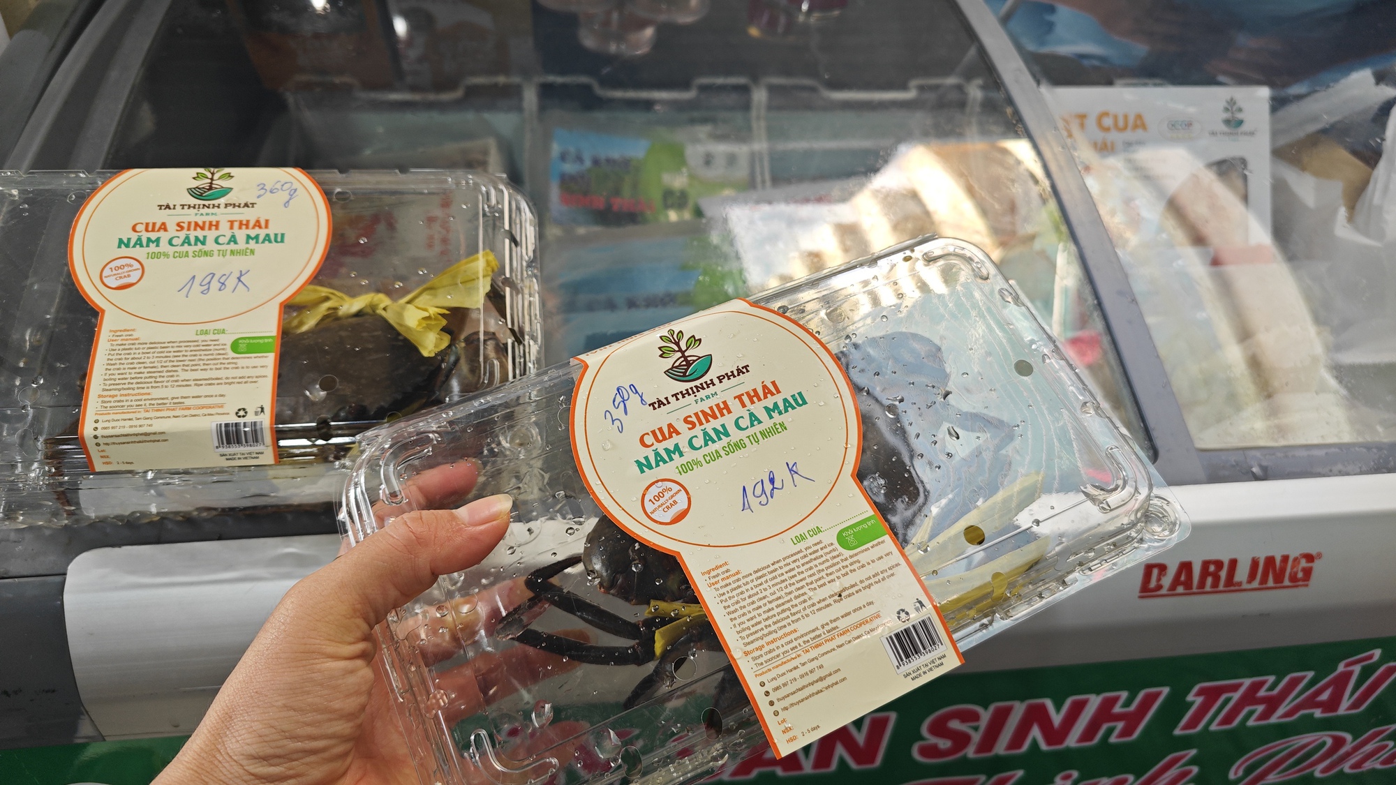 Lo giá đỗ ngâm hóa chất, người tiêu dùng "săn" giá ốm, rễ dài ở chợ xanh - Ảnh 4