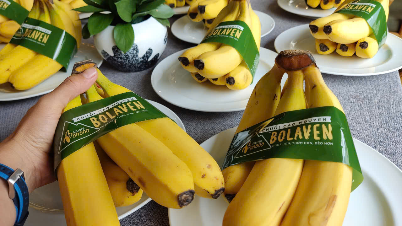 Sầu riêng xuất khẩu còn ít hơn chuối - Ảnh 2