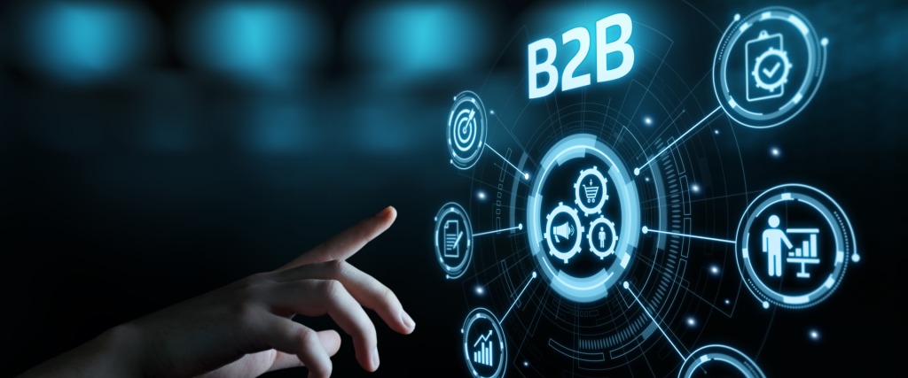 Bức tranh thương mại điện tử B2B Việt Nam 2025 ra sao? - Ảnh 1