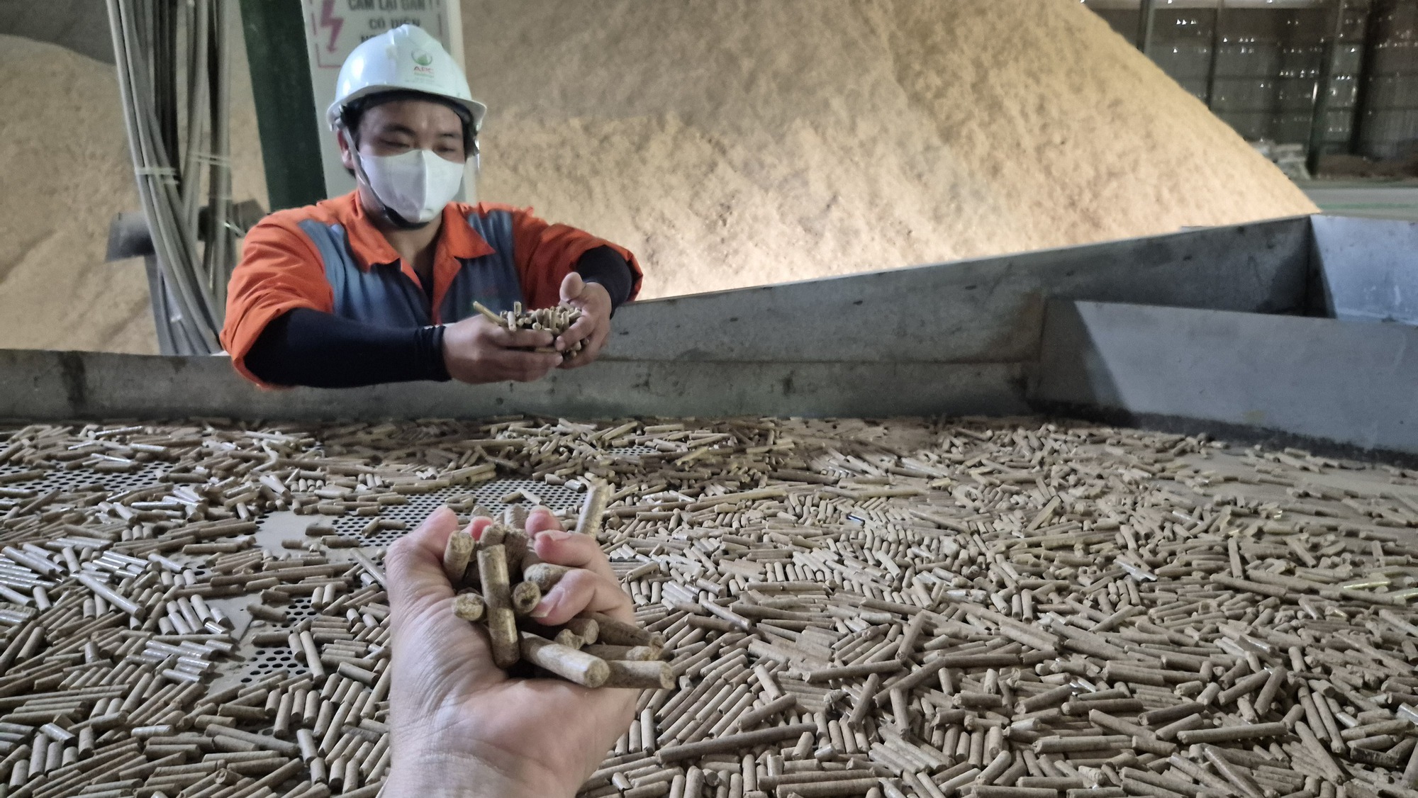 CEO Việt kiều livestream bán gạo tại nhà máy - Ảnh 4