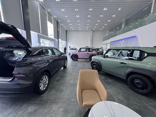 Ô tô điện có cơ hội chiếm lĩnh "sân nhà" - Ảnh 1