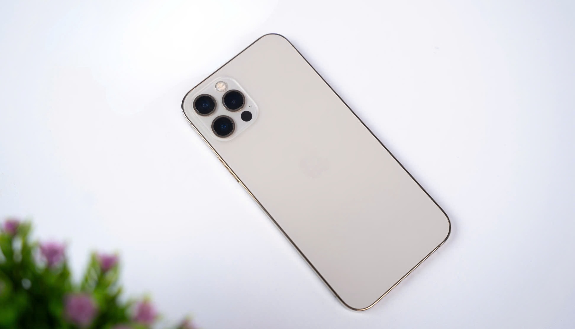 Giá iPhone cũ tại Việt Nam gây bất ngờ - Ảnh 2