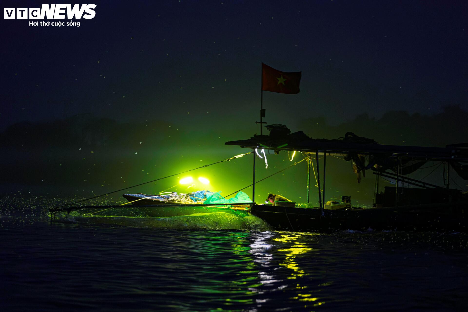 Giăng lưới săn loài 'lộc trời' sống chỉ vài giờ, giá đắt đỏ ở Hà Nội - Ảnh 2