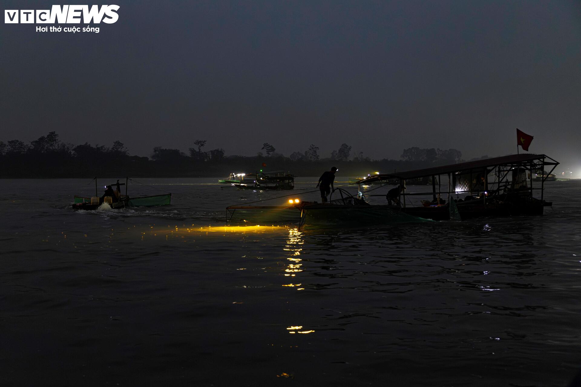 Giăng lưới săn loài 'lộc trời' sống chỉ vài giờ, giá đắt đỏ ở Hà Nội - Ảnh 1