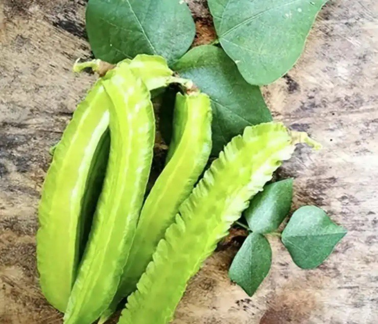 Thức ăn cho lợn bỗng hóa “vàng xanh”, giá gần 1 triệu/kg vẫn bán “cháy hàng” - Ảnh 3