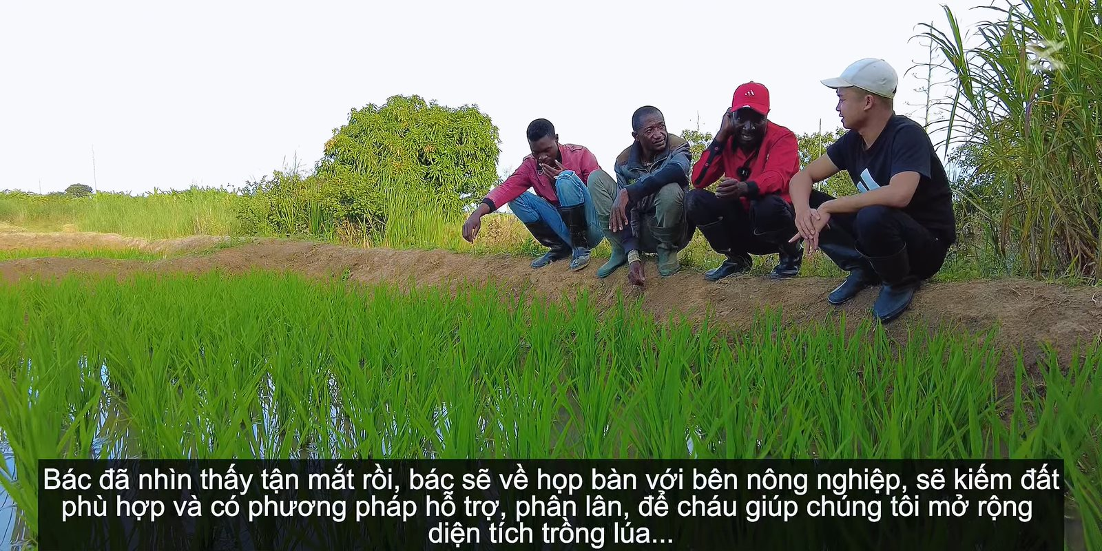 Bí thư huyện về thăm trang trại của team Quang Linh châu Phi, 'đứng hình' khi nhìn thấy cây lúa của Việt Nam, hứa hẹn 1 điều khiến người dân xúc động - Ảnh 4