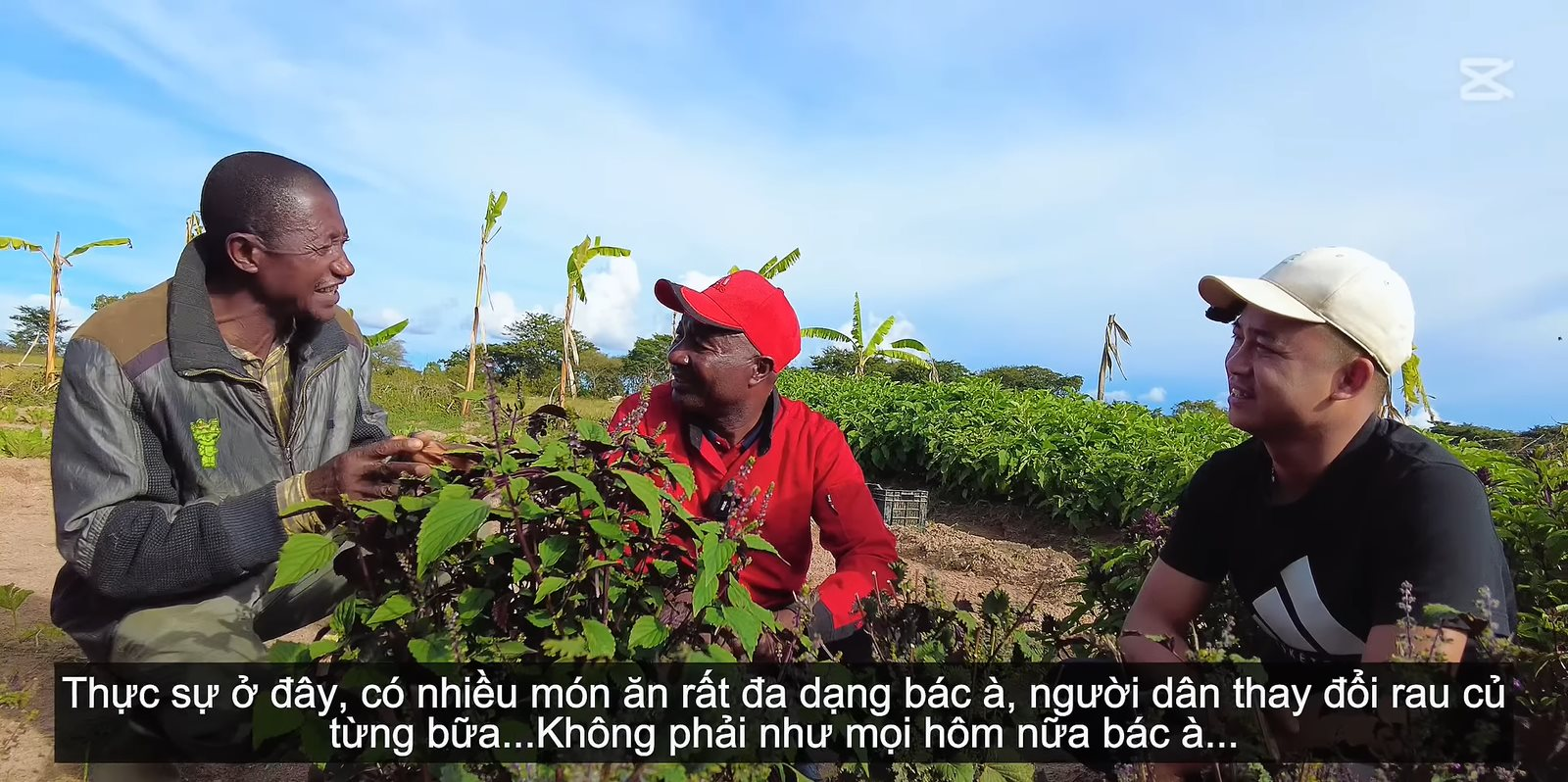 Bí thư huyện về thăm trang trại của team Quang Linh châu Phi, 'đứng hình' khi nhìn thấy cây lúa của Việt Nam, hứa hẹn 1 điều khiến người dân xúc động - Ảnh 2