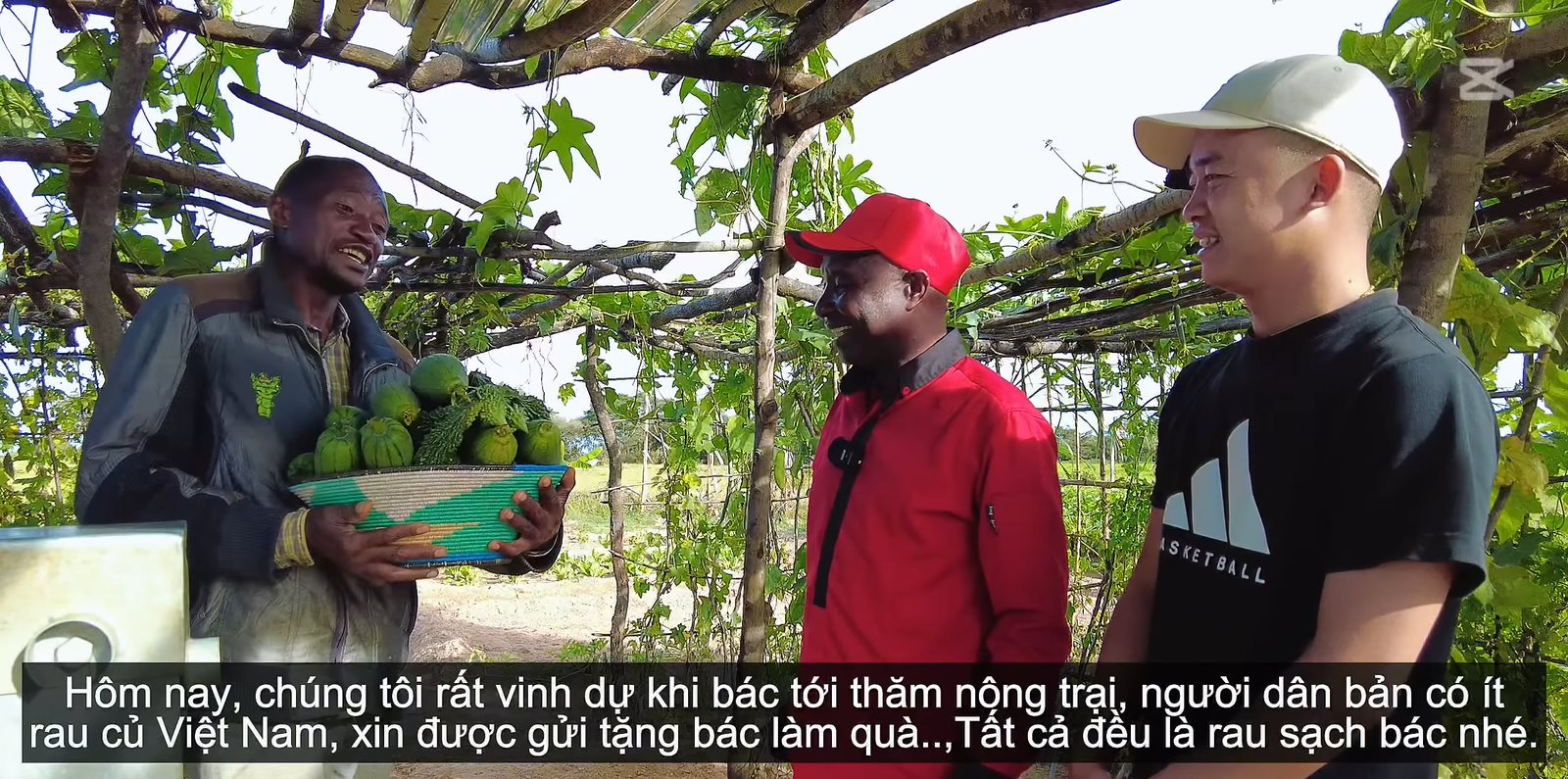 Bí thư huyện về thăm trang trại của team Quang Linh châu Phi, 'đứng hình' khi nhìn thấy cây lúa của Việt Nam, hứa hẹn 1 điều khiến người dân xúc động - Ảnh 6