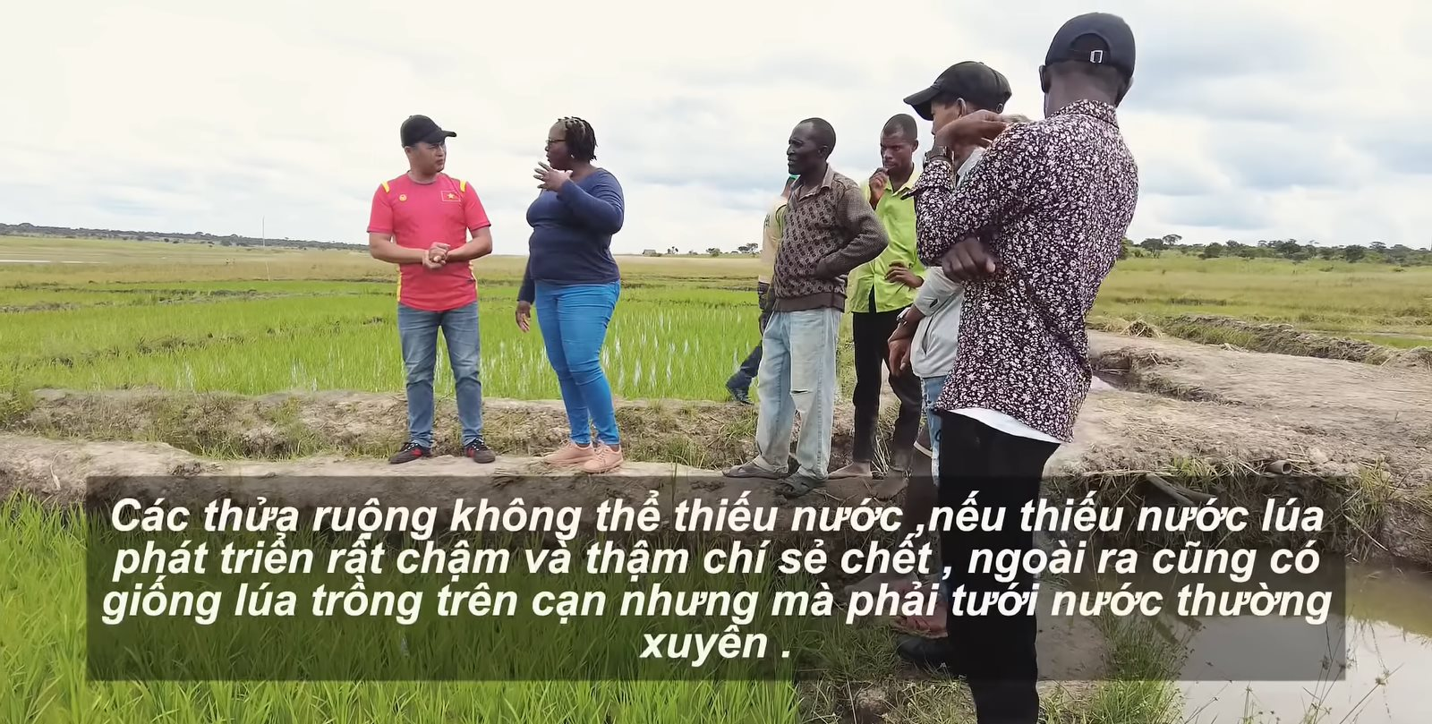 Sở Nông nghiệp Angola đến tận nơi xem team châu Phi cách trồng lúa, bất ngờ khi người Việt giúp dân bản hoàn toàn miễn phí - Ảnh 2