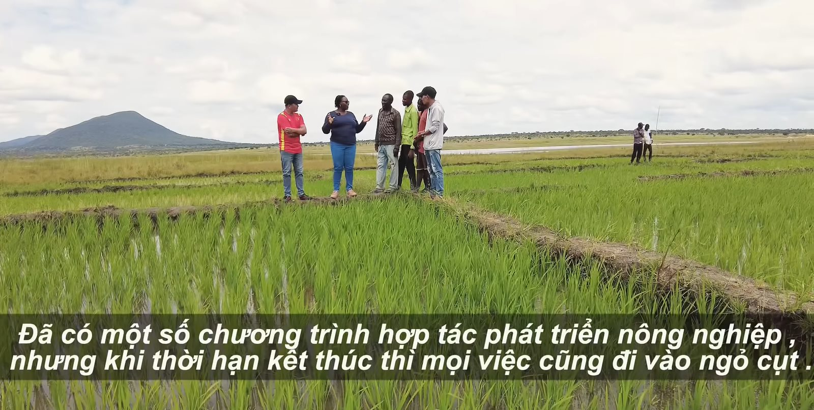 Sở Nông nghiệp Angola đến tận nơi xem team châu Phi cách trồng lúa, bất ngờ khi người Việt giúp dân bản hoàn toàn miễn phí - Ảnh 10