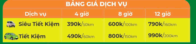 Taxi điện rẻ nhất Việt Nam bất ngờ tung ra dịch vụ cực hấp dẫn: Thuê xe kèm lái 50km giá 390.000 đồng - Ảnh 1