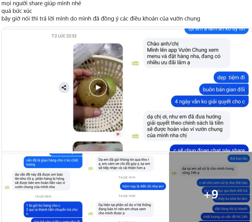 Bị tố bán hàng gian dối, Vườn Chung lên tiếng, tạm ngừng nhận đơn mới - Ảnh 1