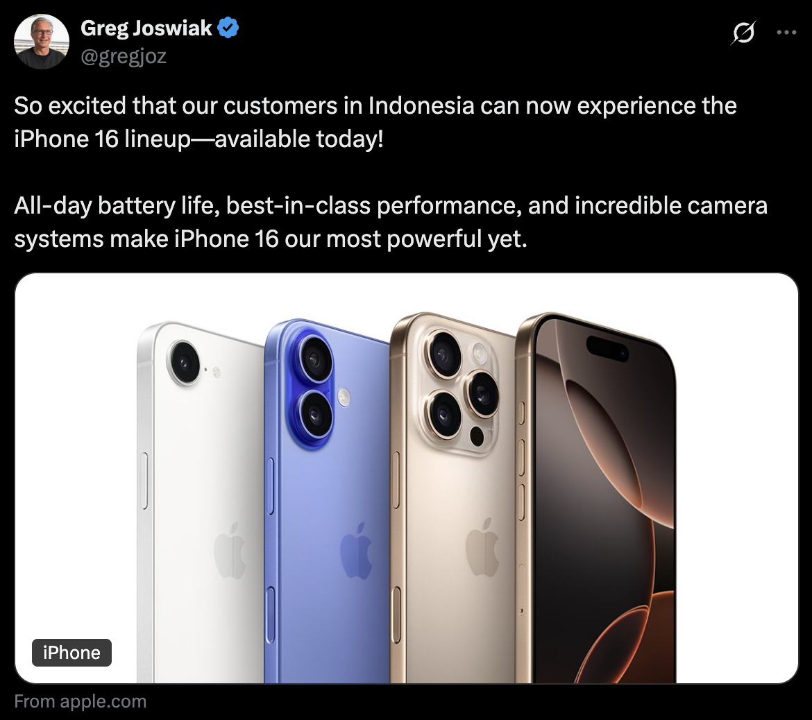 Sếp Apple mừng ra mặt khi được bán iPhone 16 tại quốc gia Đông Nam Á này - Ảnh 1