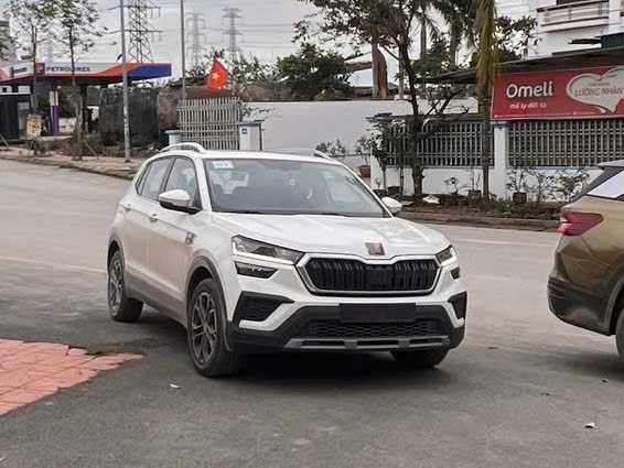 Loạt xe ra mắt Việt Nam tháng 4/2025: Đều là SUV, có cả máy xăng, hybrid, giá dự kiến từ khoảng 600 triệu đến... gần 9 tỷ đồng - Ảnh 16