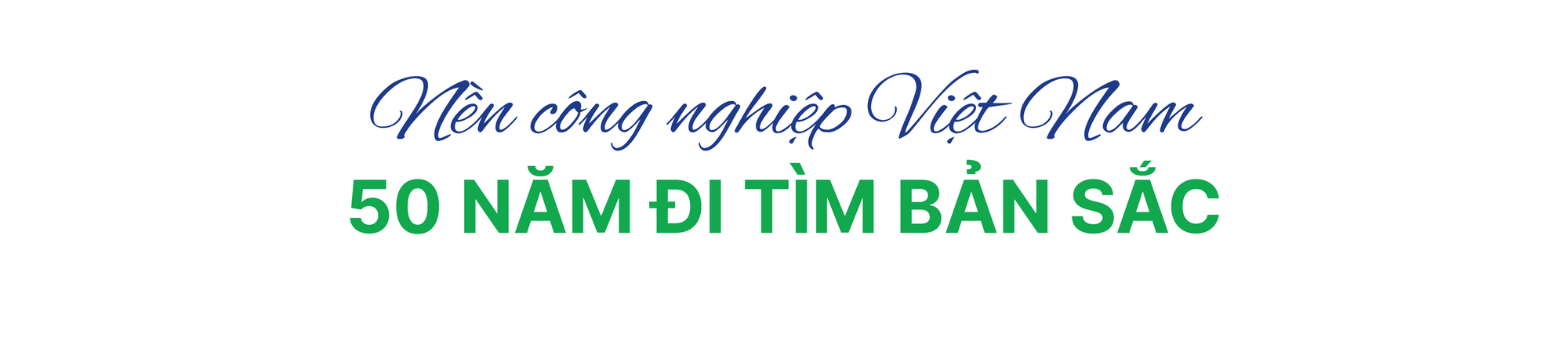VinFast - Biểu tượng cho khát vọng lớn của nền công nghiệp Việt Nam sau 50 năm thống nhất - Ảnh 1