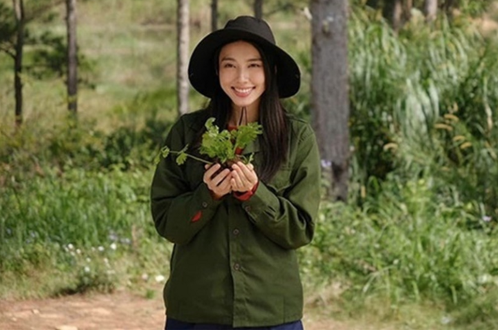 Fanpage, kênh TikTok triệu follower của Hoa hậu Thùy Tiên đồng loạt 'bay màu' - Ảnh 2