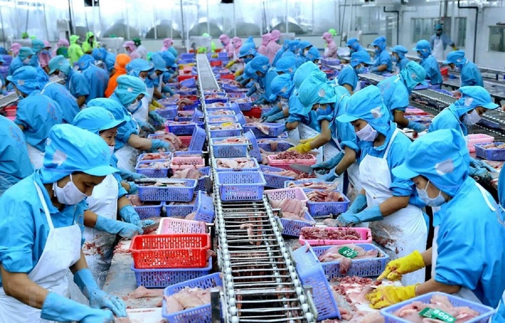 Muốn phát triển thị trường xuất khẩu ngành hàng chủ lực, Việt Nam cần làm gì? - Ảnh 3