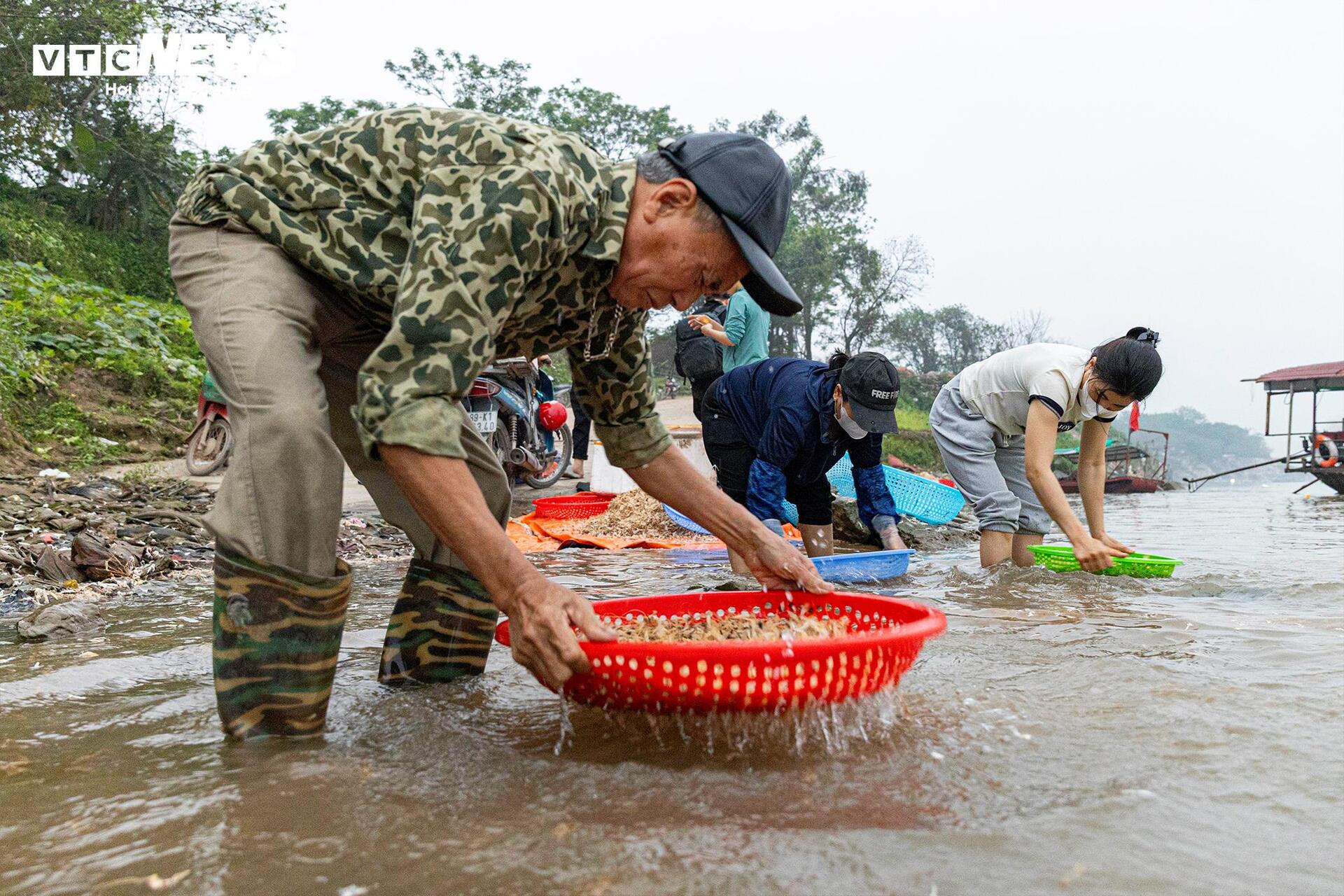 Giăng lưới săn loài 'lộc trời' sống chỉ vài giờ, giá đắt đỏ ở Hà Nội - Ảnh 12