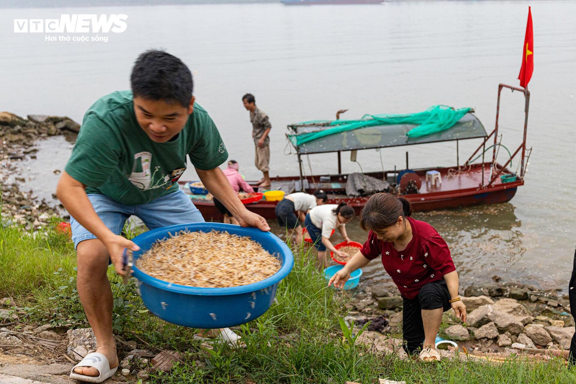 Giăng lưới săn loài 'lộc trời' sống chỉ vài giờ, giá đắt đỏ ở Hà Nội - Ảnh 13