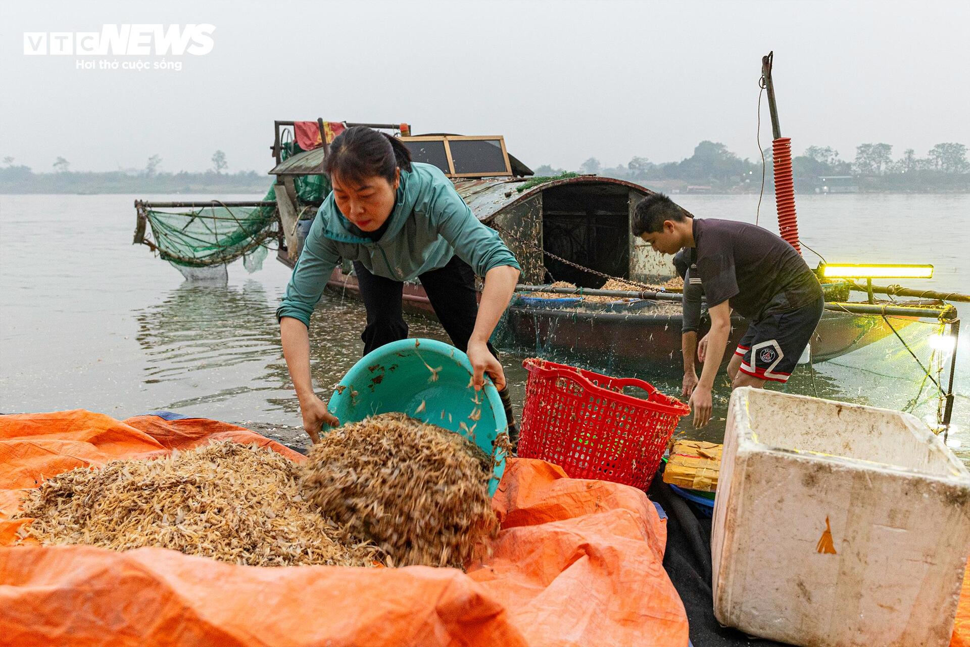 Giăng lưới săn loài 'lộc trời' sống chỉ vài giờ, giá đắt đỏ ở Hà Nội - Ảnh 11