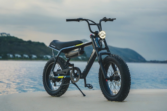 Nhờ 1 tin nhắn, thủ phủ ngành xe nước đông dân nhất thế giới quyết đón VinFast: Điều khó tin sắp xảy ra - Ảnh 6