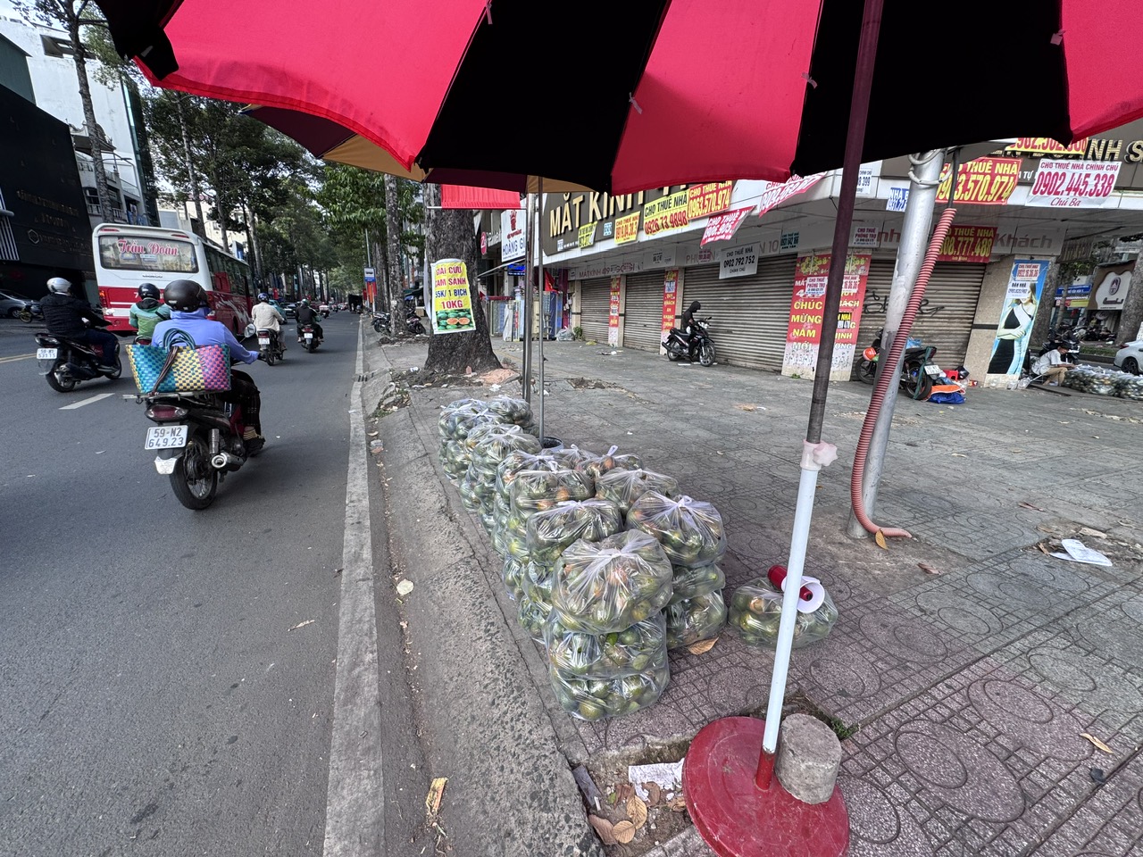Nắng nóng, cam sành "giải cứu" tăng giá - Ảnh 1