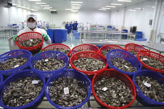 Trung Quốc bất ngờ tăng mạnh nhập khẩu ốc từ Việt Nam - Ảnh 1
