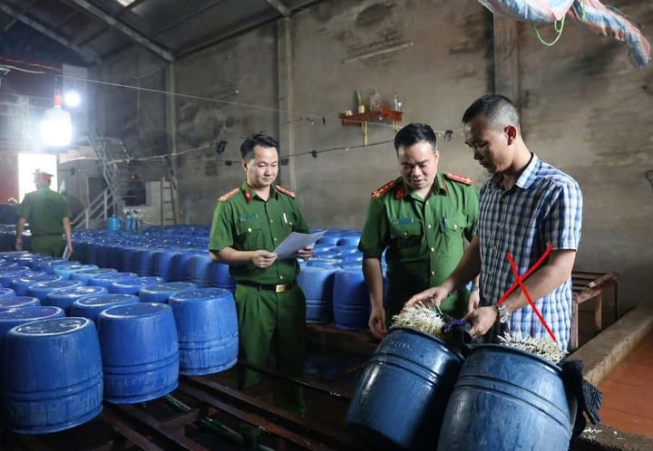 Khởi tố chủ cơ sở bán 60 tấn giá đỗ dùng chất kích thích tăng trưởng - Ảnh 1