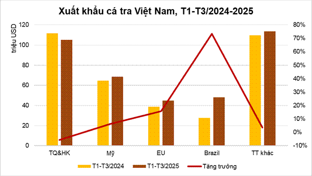 Loại cá 'rẻ bèo' bán đầy chợ Việt bất ngờ được nước giàu nhất Nam Mỹ tăng nhập khẩu: Protein không kém cá hồi - Ảnh 1