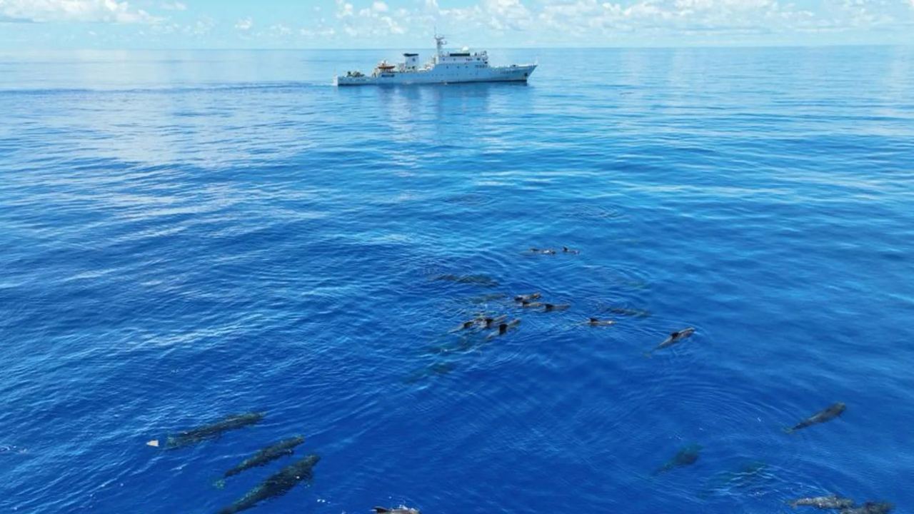 Bất chấp rào cản chất bán dẫn, Trung Quốc lại có đột phá: Chế tạo 'mắt thần', tiến tới tự chủ công nghệ - Ảnh 2