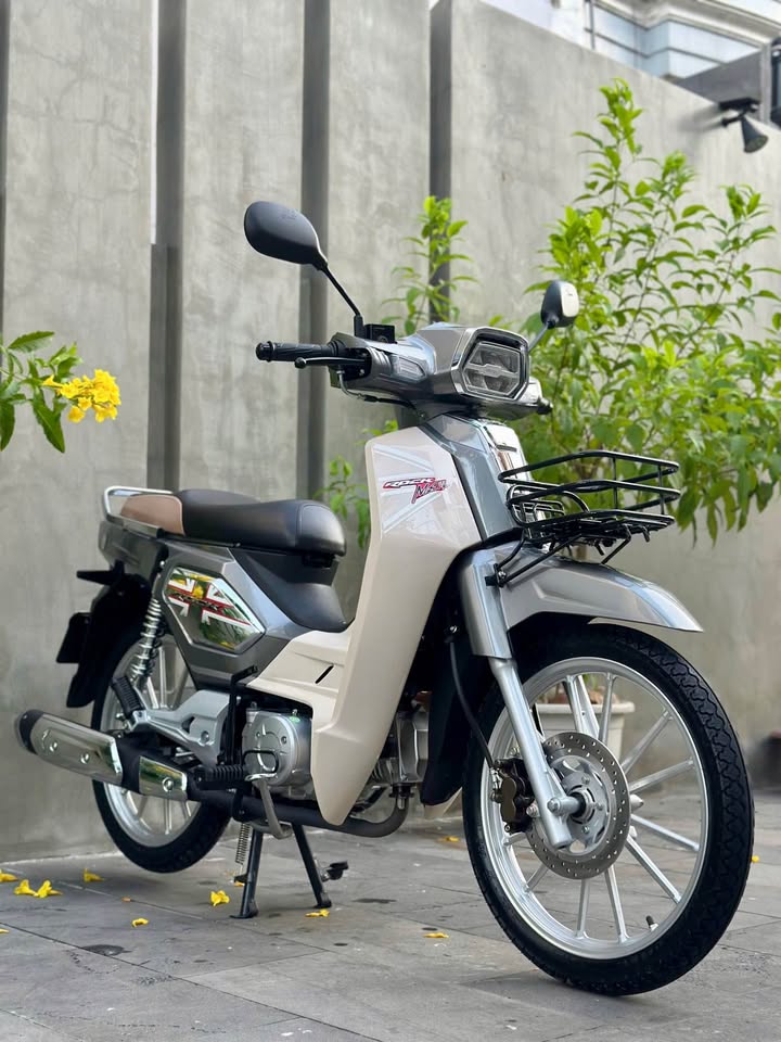 Bản sao 'Honda Dream' hạ giá sốc còn 19 triệu đồng: Vừa rẻ, đẹp, lại siêu tiết kiệm xăng - Ảnh 3