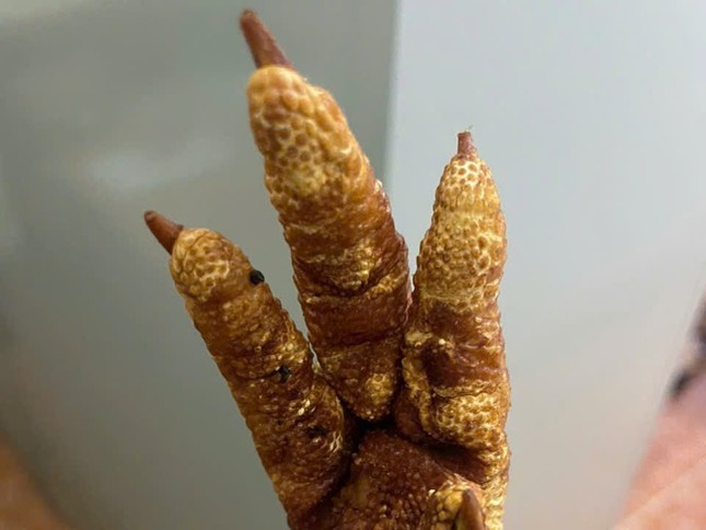 Hà Nội: Bắt giữ hơn 1 tấn chân gà chiên không rõ nguồn gốc - Ảnh 3