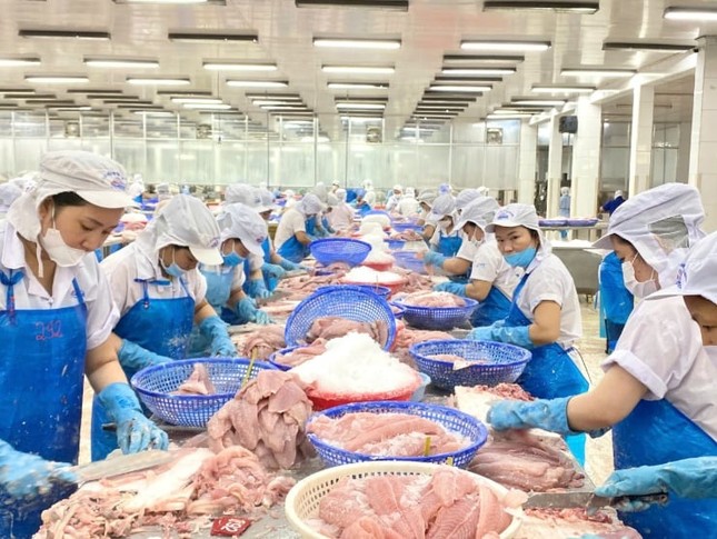 Nước nào tiêu thụ cá tra Việt Nam lớn nhất thế giới? - Ảnh 2